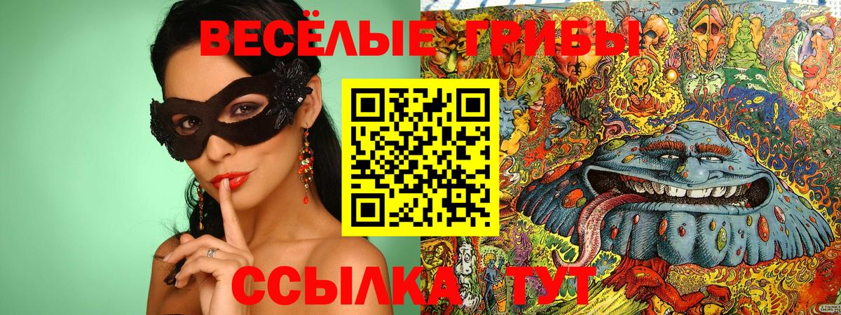 Псилоцибиновые грибы Psilocybe  наркотики  Ульяновск  Вход с VPN 