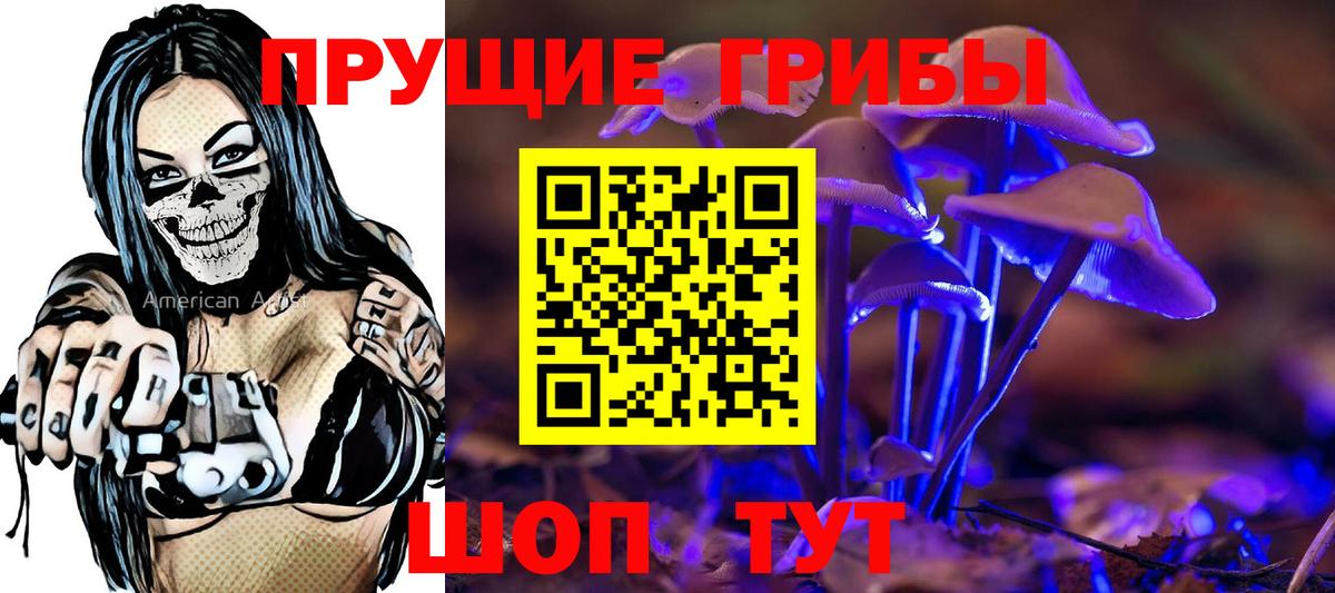 Псилоцибиновые грибы Cubensis Ульяновск