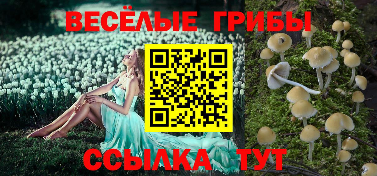 NBOMe Ульяновск